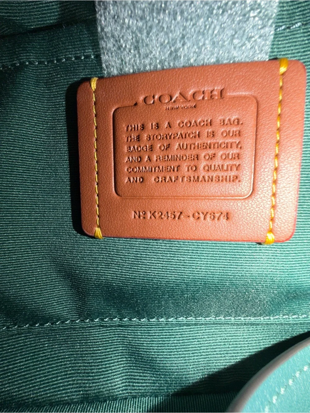 Coach Teri Shoulder Bag Sage & Dark Turquoise (CY674) Blocked Signature Leather